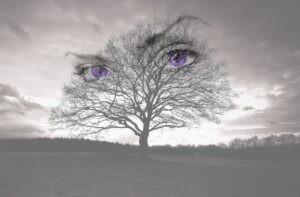 A photo of a tree that has lost all of its leaves. It’s growing either next to a field or to a grassy area that’s recently been mowed. Superimposed onto the tree are a pair of purple human eyes. This looks like photoshop to me. 