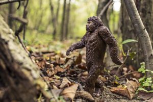 A photo of a plastic toy shaped like Bigfoot. It is about six inches tall and is sitting in a forest that’s strewn with last year’s autumn leaves and that has just begun to grow this year’s crop of leaves. The toy is positioned so that it looks like it’s walking through the leaves. 