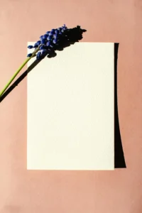 A hyacinth flower lying on a blank sheet of paper. 