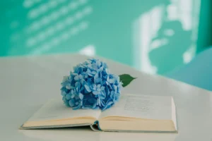 A bouquet of blue hydrangeas sitting on an opened book of poetry that is itself sitting on a a white table. The wall behind the table is painted turquoise blue. 