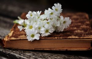 A bouquet of little white flowers - possibly of the dogwood variety - lying on an antique hardcover book. The book’s cover is brown and looks like it may have once had a floral design on it. There are scratches and little pieces missing here and there on the cover, though, so it’s hard to tell for sure. 