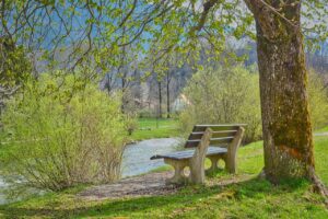 A green wooden bench beneath a mature tree. the bench and tree are facing a peaceful little river whose banks are covered in green bushes and healthy grass.