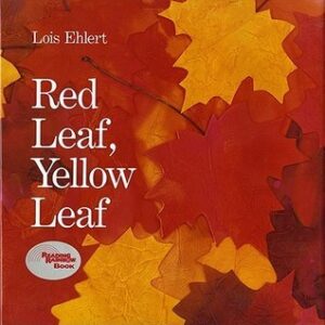 Book cover for Red Leaf, Yellow Leaf by Lois Ehlert. Image on cover is of countless red and yellow leaves lying on top of each other in a large pile. 