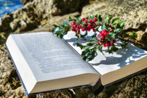 A sprig of holly lying on an opened hardcover book that itself is lying on some rough rocks at the beach on a sunny day. 