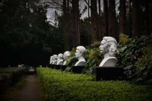 Photo of several large busts of the heads of famous scientists like Marie Curie and Einstein. They are arranged in a neat line outdoors in a garden filled with grass and evergreen bushes that have been trimmed into box shapes. 