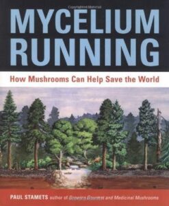 Book cover for Mycelium Running: How Mushrooms Can Help Save the World by Paul Stamets. Image on cover is a drawing of a pine forest that has a dirt path running through it. Extra sunlight is shining down onto the path. 