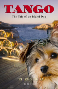 Book cover for Tango: The Tale of an Island Dog by Eileen Beha. Image on cover shows a photo of shaggy little dog peeking out at the viewer. Behind the dog one can see wooden crab traps stacked up on the pier and, behind the peer, the calm ocean. 
