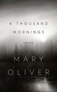 Book cover for A Thousand Mornings: Poems by Mary Oliver. Image on cover is a photo of a pine forest on a very cloudy day. All of the trees are enshrouded in such a thick layer of fog that I can’t quite tell if this is actually a photo or if it’s a painting! 