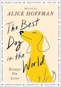 Book cover for The Best Dog in the World: Essays on Love by Alice Hoffman. Image on cover shows a simple drawing of a yellow dog who is holding his or her head up as if someone is about to pet them.