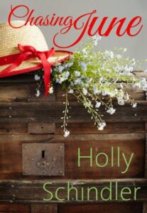 Book cover for Chasing June by Holly Schindler. Image on cover shows a straw hat with a red ribbon on it. The hat is lying on top of a little bouquet of white wild flowers that is itself lying on an old leather book.