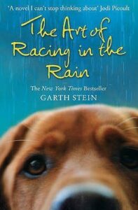 Book cover for The Art of Racing in the Rain by Dave Manak. Image on cover is a blurry drawing of a brown dog who is peering at the viewer with a concerned expression on his face. 
