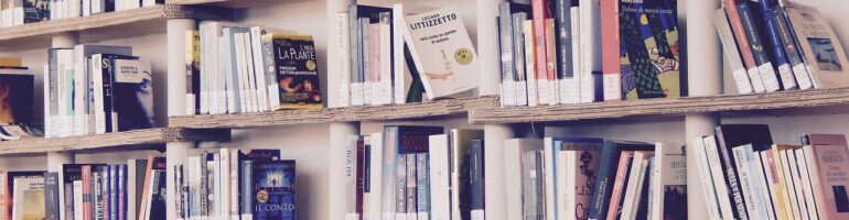 Wooden library shelves filled with books.